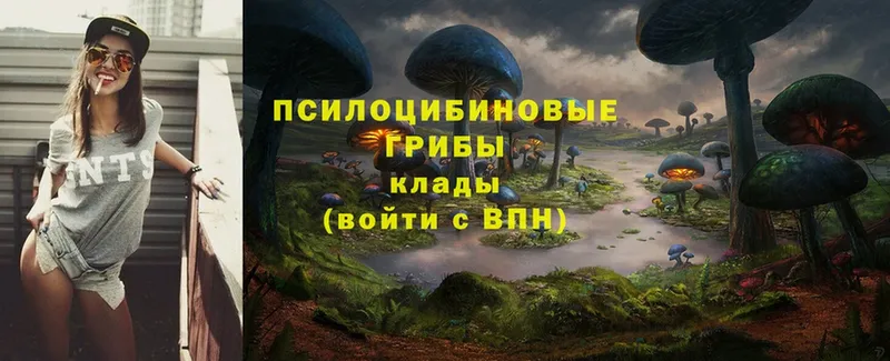 Виды наркотиков купить Карасук Кокаин  Амфетамин  ГАШИШ  Каннабис  Мефедрон  Псилоцибиновые грибы  А ПВП 