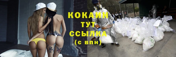 спиды Майский