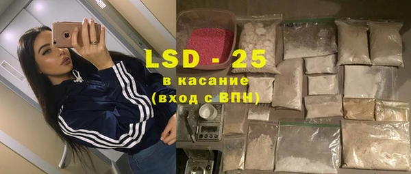 сатива Магадан