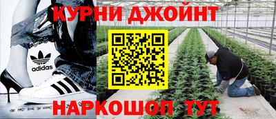 сатива Гагарин